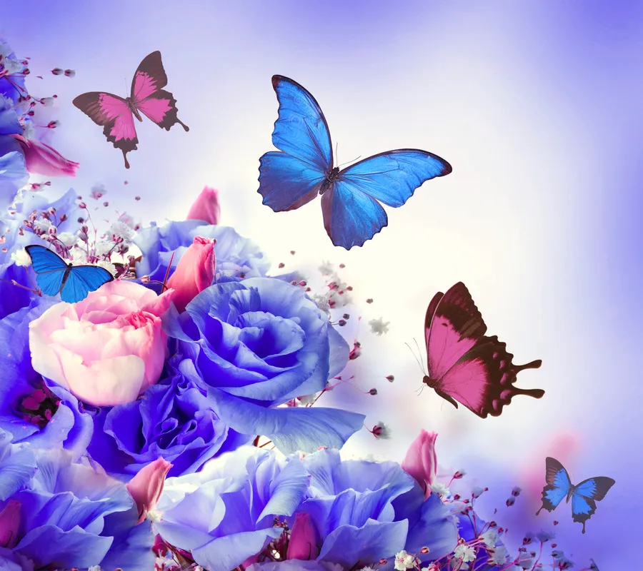 Butterflies background