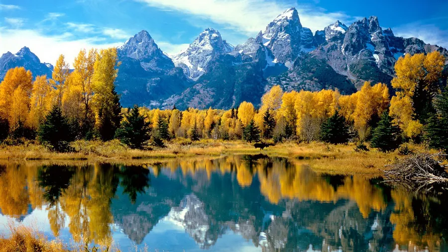 Cool Nature