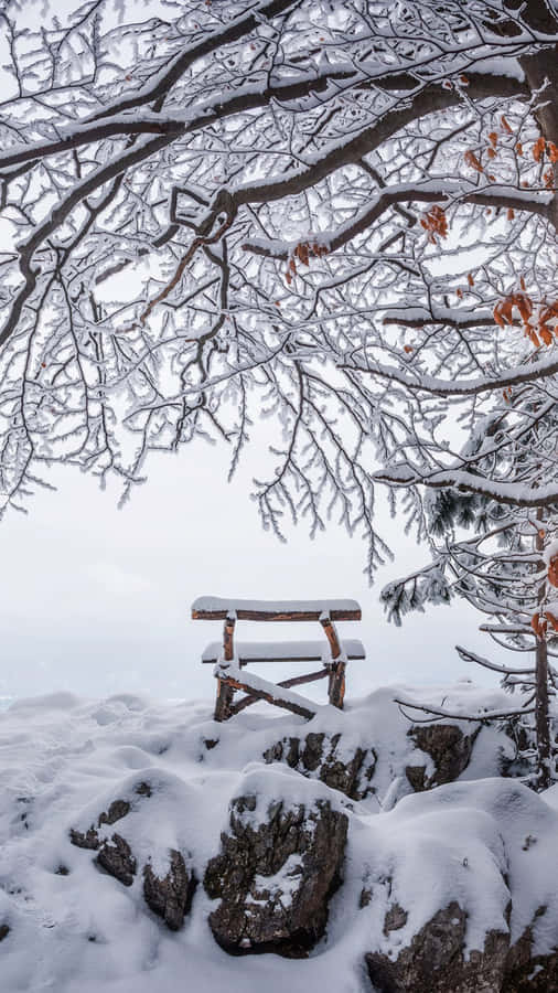 WinteriPhone Hintergrund