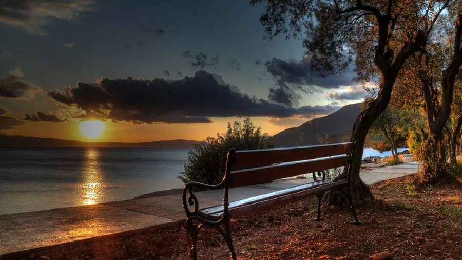 Dark Sunset Bench