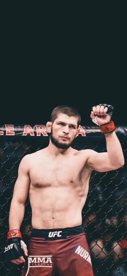 Ufc 4k