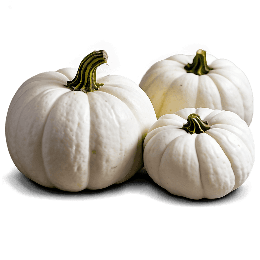 Harvest White Pumpkin PNG cnn