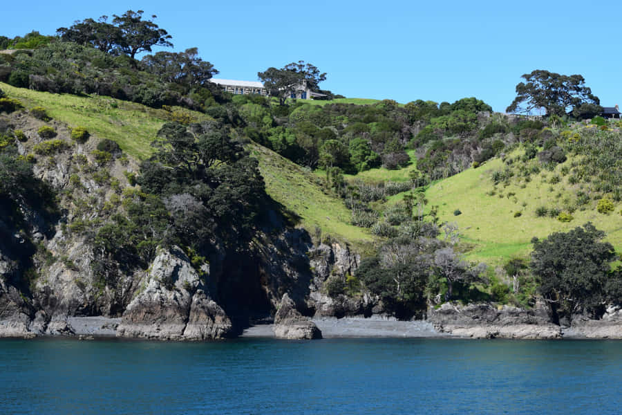Waiheke Ö Coastal Utsikt