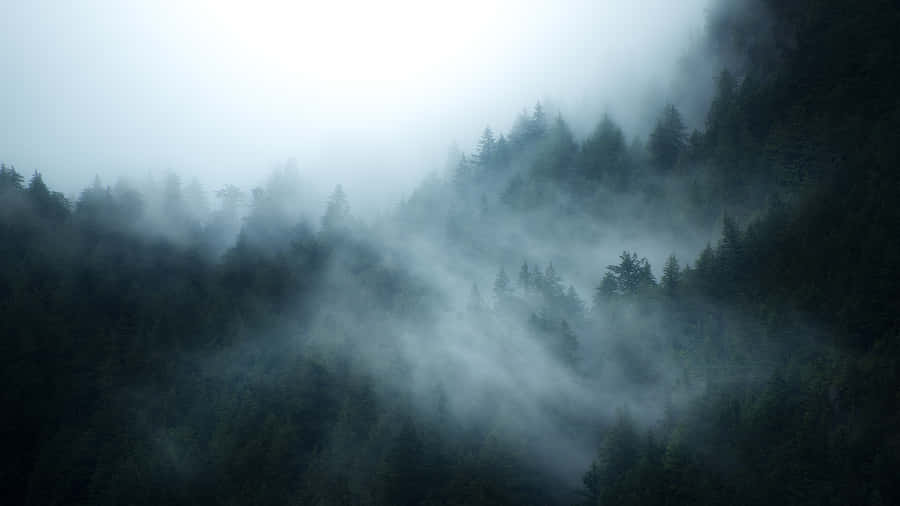 Tåge Baggrund 1920 x 1080