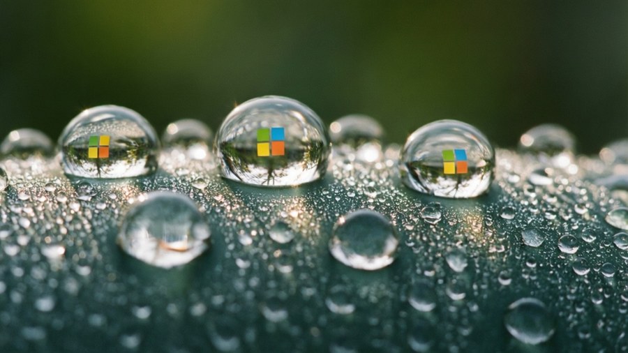 Makroskott av daggdroppar som reflekterar Microsoft-logotypen på gröna löv.