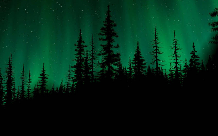 dark-green-aurora-borealis-aesthetic-zsk