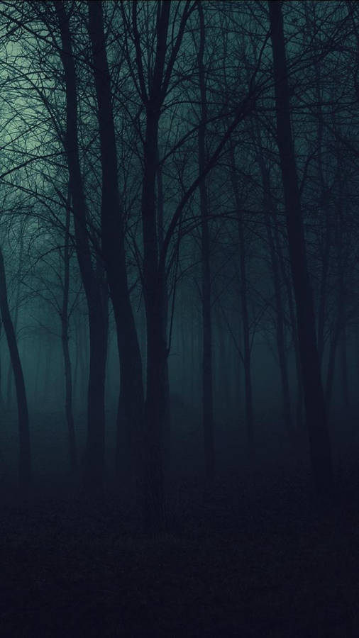 Download Dark Phone Eerie Woods Wallpaper | Wallpapers.com