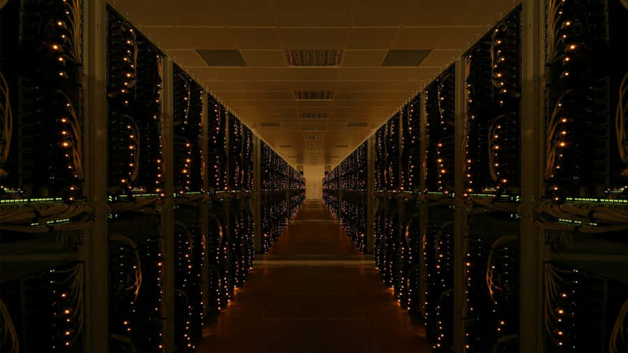 data background