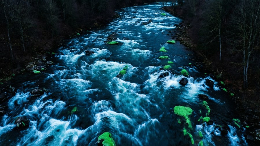 Aerial view of Dathomir's dark forests with glowing green rivers.