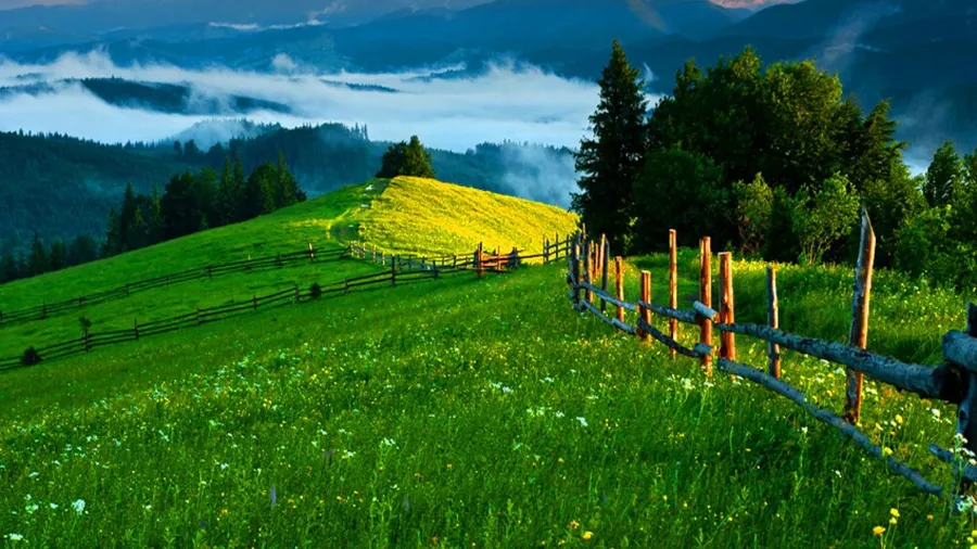 Hill background