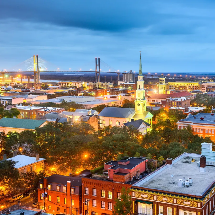 Savannah Background