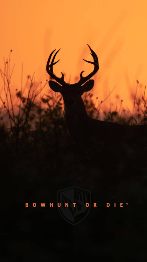 Deer Iphone