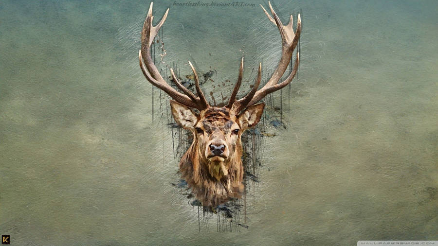 Download Deer Wallpaper