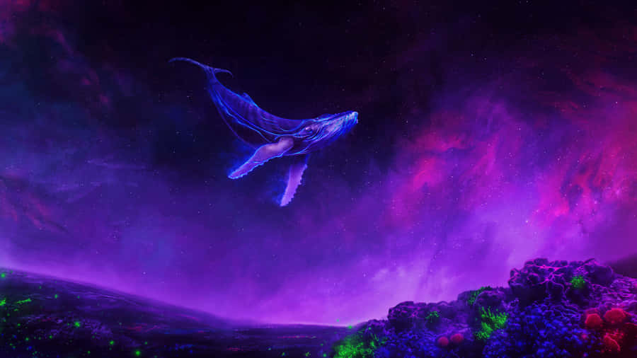 Seje billeder 3840 x 2160