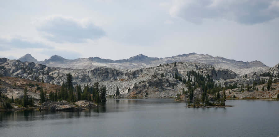 Desolaat