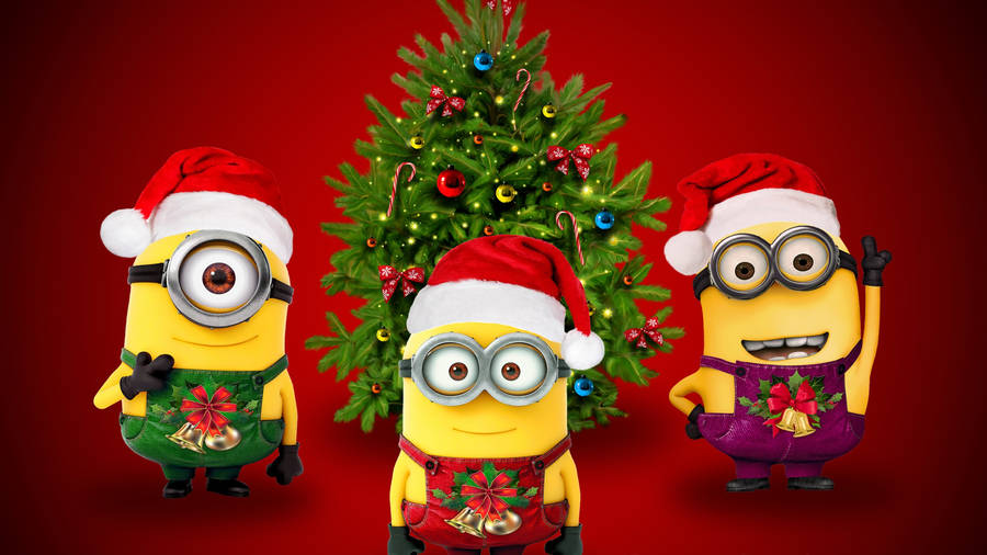 Download Despicable Me Christmas Minions Wallpaper Wallpapers Com