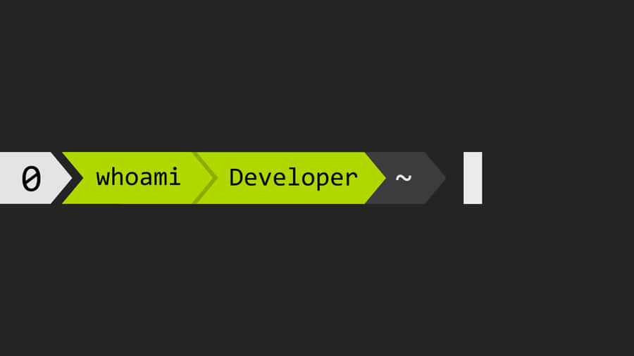 Developer Command Line Identity