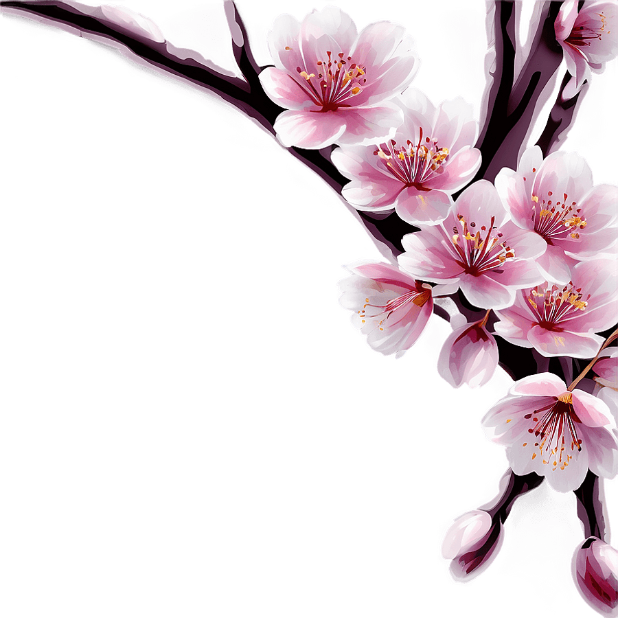 Cherry Blossom Wallpaper PNG 06292024
