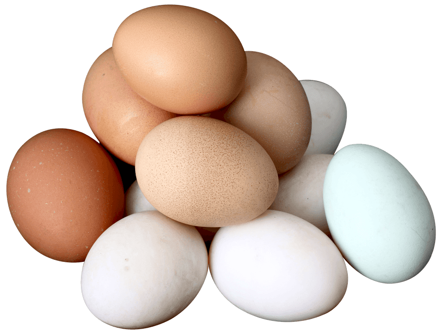 Assorted Chicken Eggs Variety