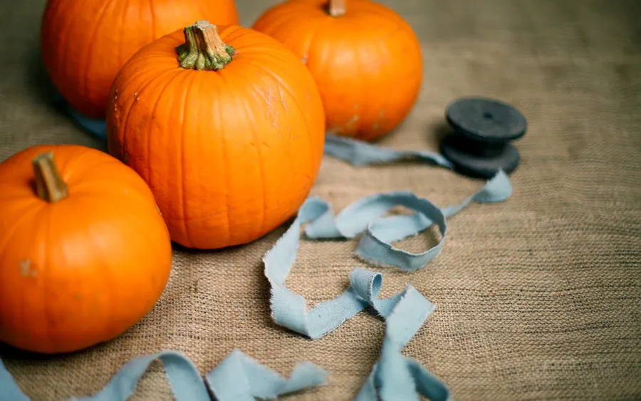 Pumpkin Background