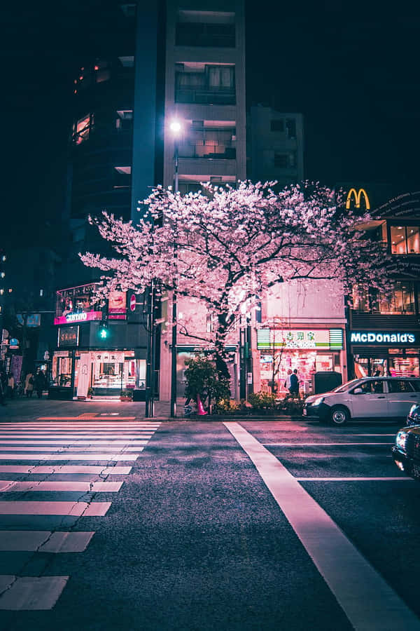 Kirschblüten Nacht Stadtansicht.jpg