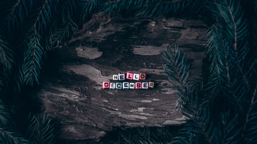 Lucrativo¡Hola diciembre!