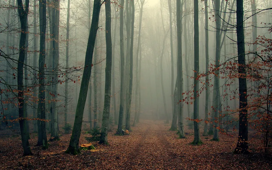 Foggy background