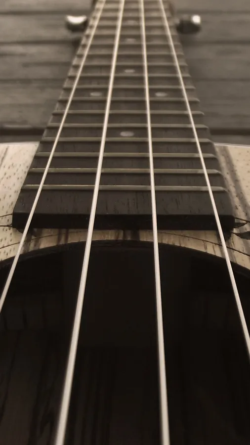 Bass Guitar