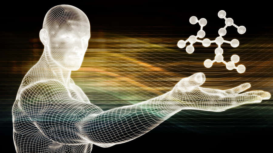 Digital Human Interface Concept