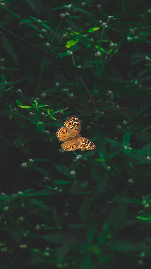 Borboleta Verde Vintage na Natureza