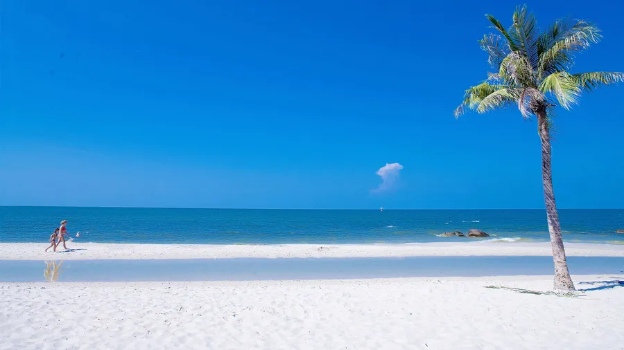Ocean view aesthetic wallpaper