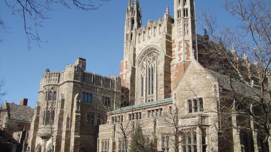 YaleUniversity Law Building kan översättas till "Yales juridiska fakultetsbyggnad". När det gäller dator- eller mobilbakgrund kan du använda en bild av byggnaden som bakgrundsbild. Du kan söka efter bilder på internet eller ladda upp en egen bild direkt till din enhet. Se till att bilden är av hög kvalitet så att den ser bra ut som bakgrundsbild. Lycka till!