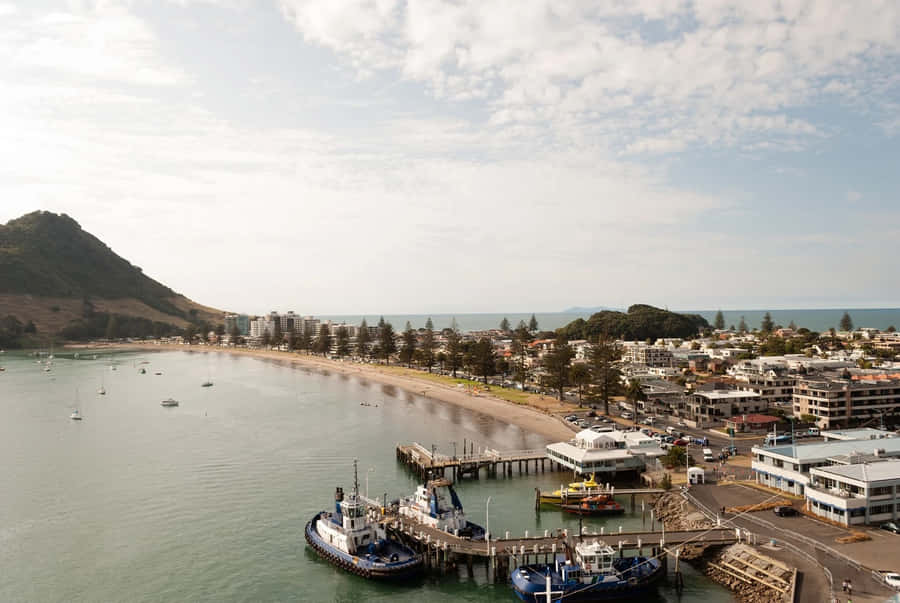 Tauranga Kustvy Nya Zeeland