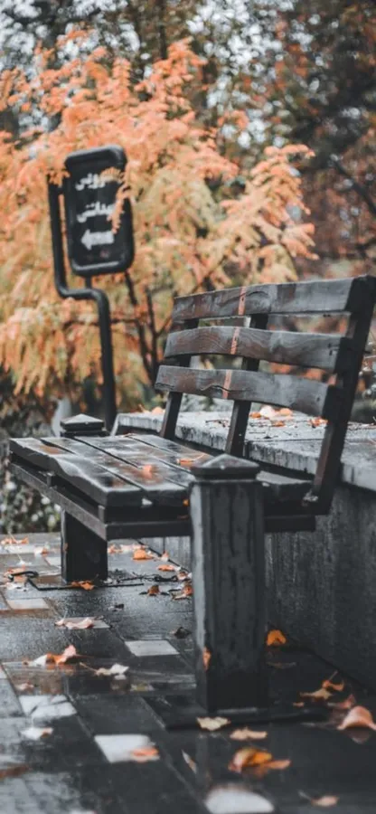 Vintage Fall