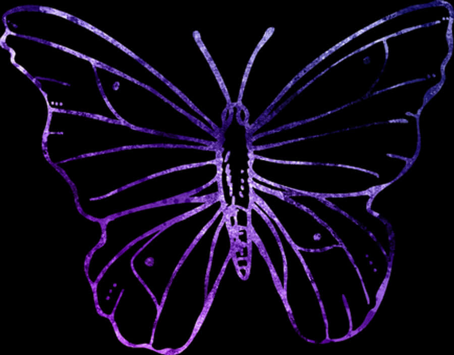 Purple Outlined Butterflyon Black Background
