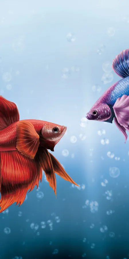 Pixel 3 Fish Background