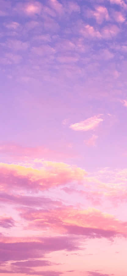 Rosahimmel 1125 x 2436 bakgrundsbild