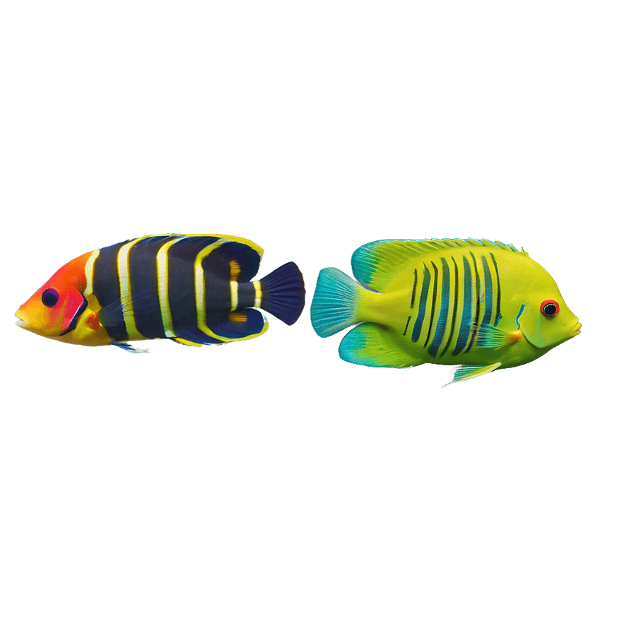Tropical Fish Habitat PNG 06252024