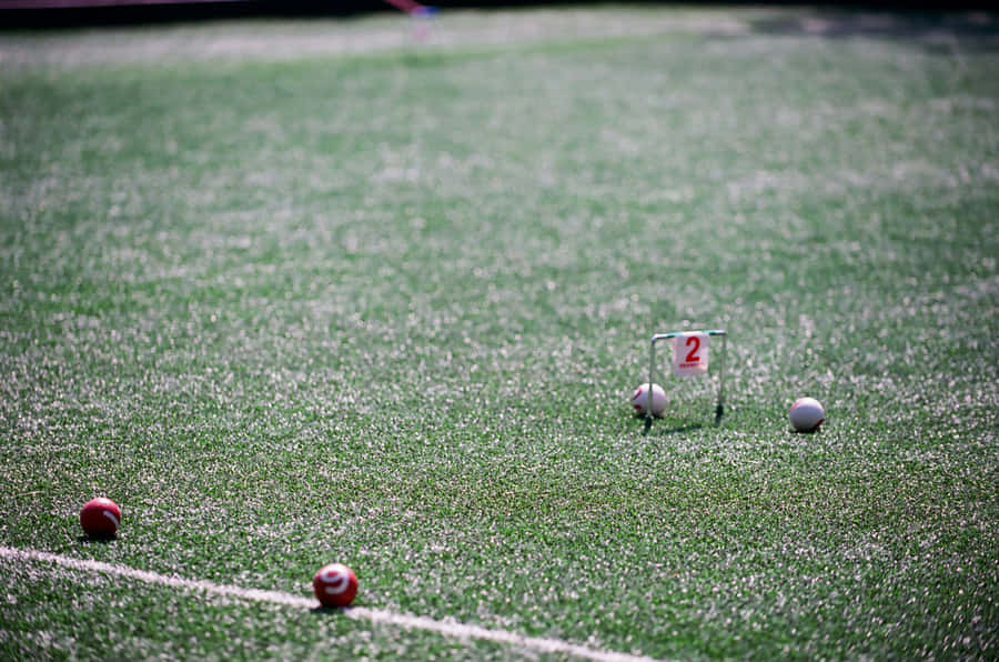 Permainan Croquet Sedang Berlangsung