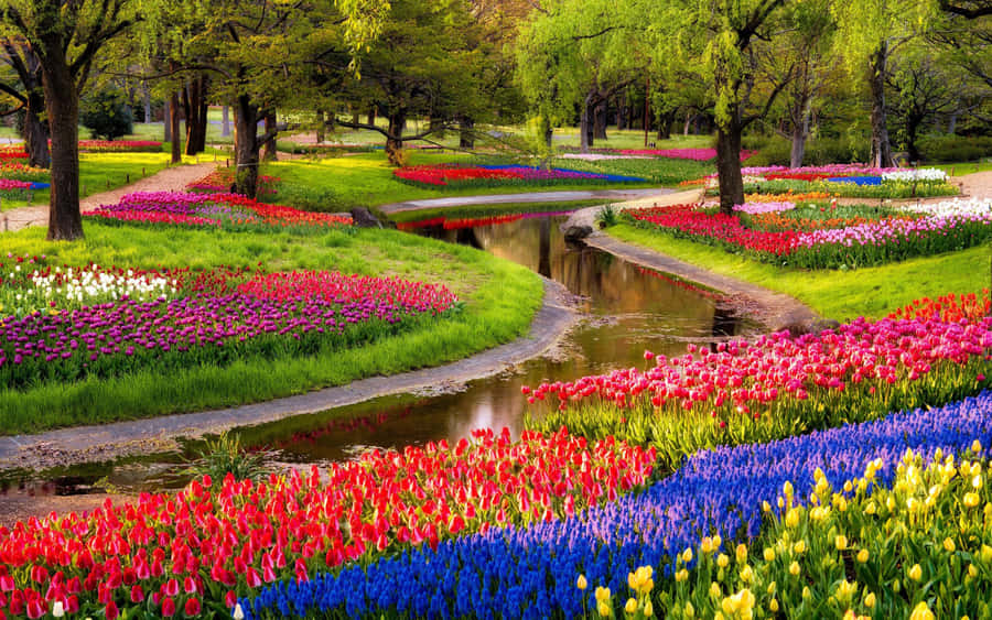 Scenisk blomsterhaven park billede