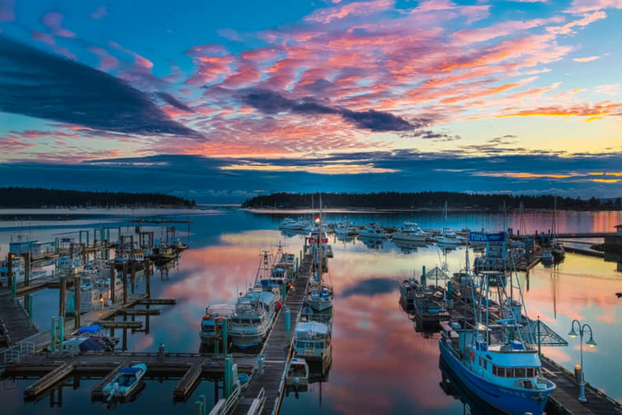 Die ruhige Schönheit von Nanaimo einfangen