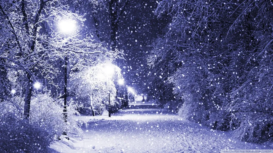 Simple Winter