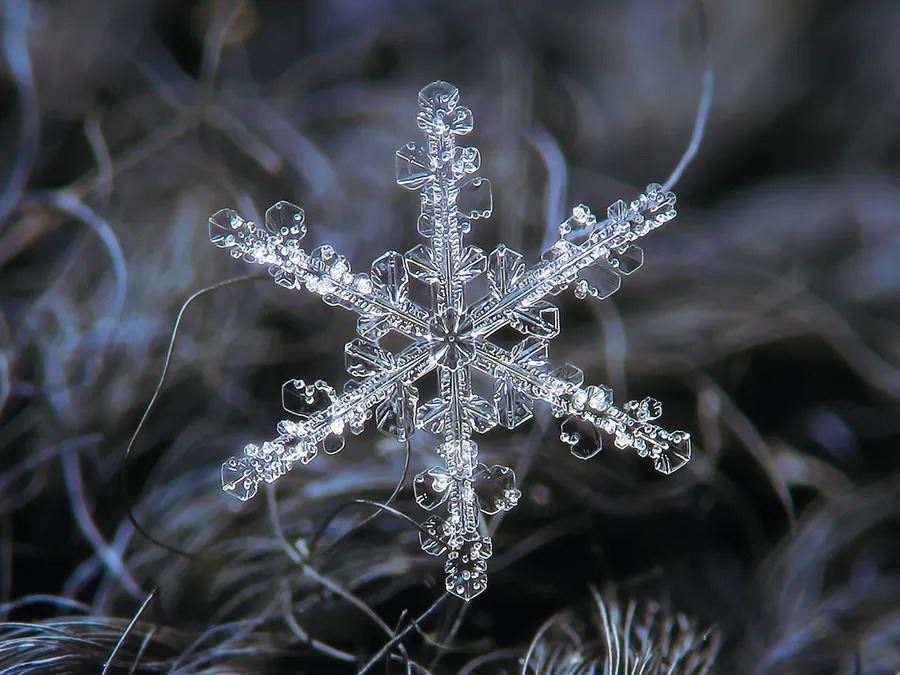 Snowflake pictures