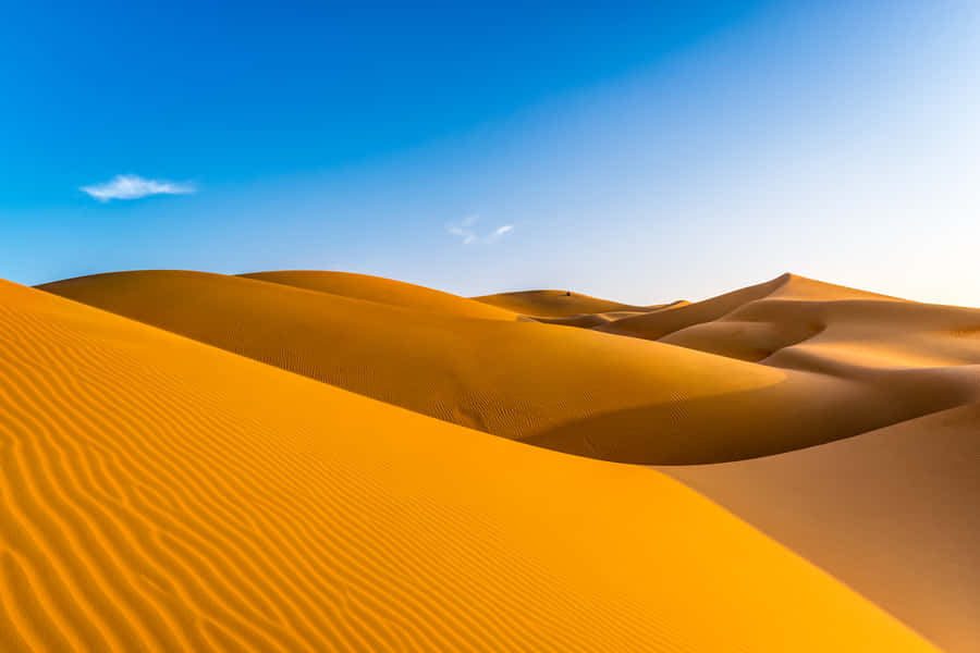 Dune Background