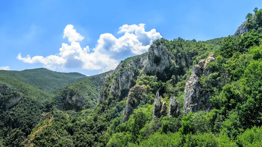 Scenic Background