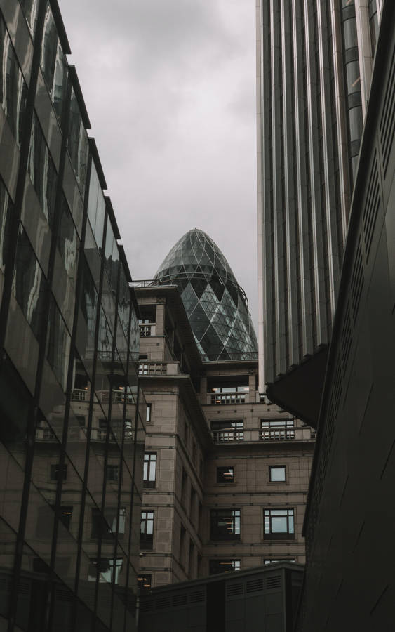 O"Pepino" entre os edifícios