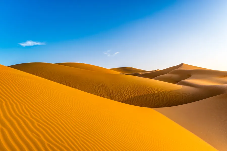 Dune Background
