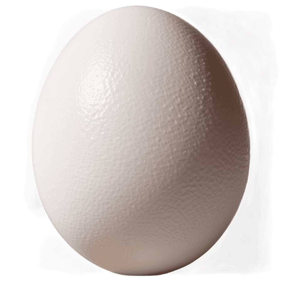 White Egg Stock Image PNG 06292024