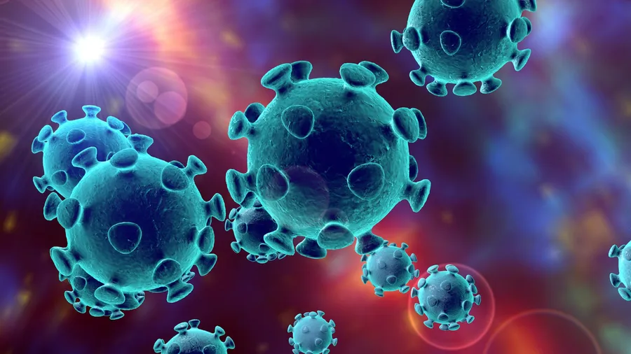 A microscopic view of the COVID-19 virus