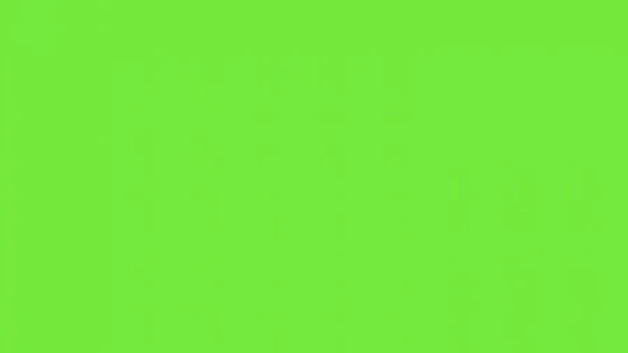 Solid Green Background